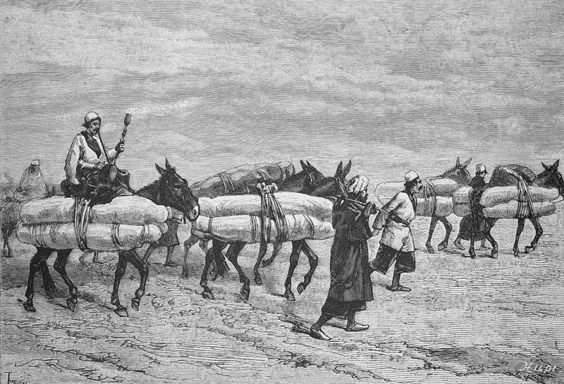 Transport of Shiite corpses to Kerbala, Kerbela, one of the most important Shiite and Alevi pilgrimage sites, 1895, Iraq, Historical, digitally restored reproduction from a 19th century original, Record date not stated, Asia