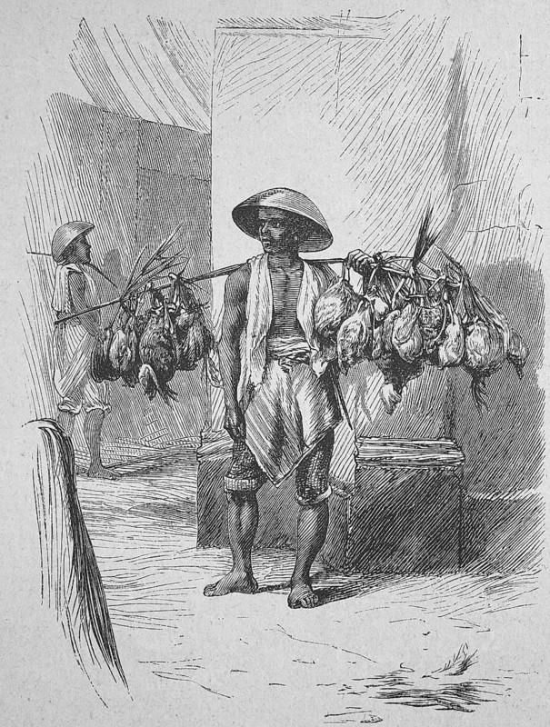 Poultry dealer in Batavia around 1899, Dutch India, Historical, digitally restored reproduction from a 19th century original, Record date not stated