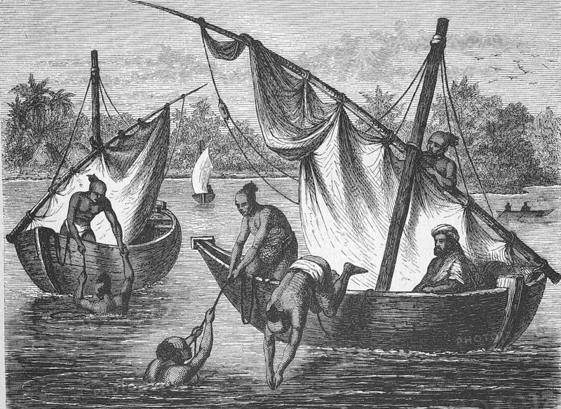 Pearl fishermen in India, c. 1895, Historical, digitally restored reproduction from a 19th century original, Record date not stated