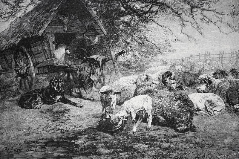 Sheep and dogs resting next to a shed in a rural landscape, Shepherd with a shepherd's cart, sheep and sheepdog, Travelling shepherd, Travelling shepherd on the Swabian Alb, Germany, Historical, digitally restored reproduction from a 19th century original, Record date not stated, Europe
