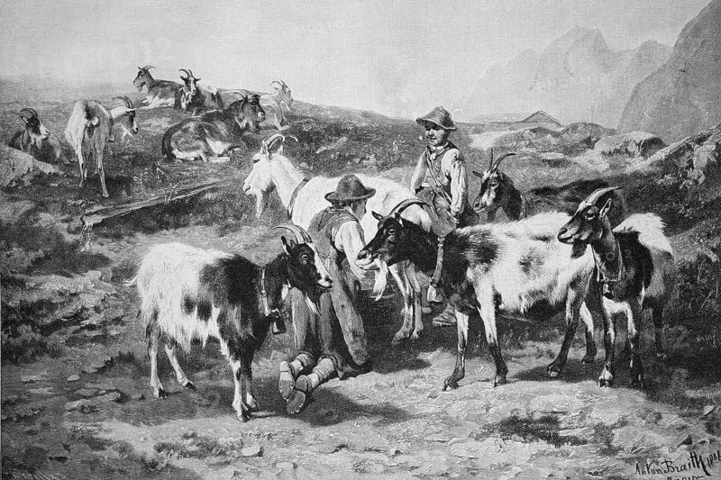 Shepherds with goats in a mountainous landscape, Gaisalpe in the Bavarian Alps, Germany, Historical, digitally restored reproduction from a 19th century original, Record date not stated, Europe