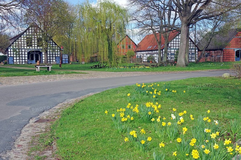 Colourful half-timbered houses surrounded by green trees and blossoming flowers under a clear sky, Satemin, Rundlingsdorf, Wendland, Lower Saxony, Germany, Europe
