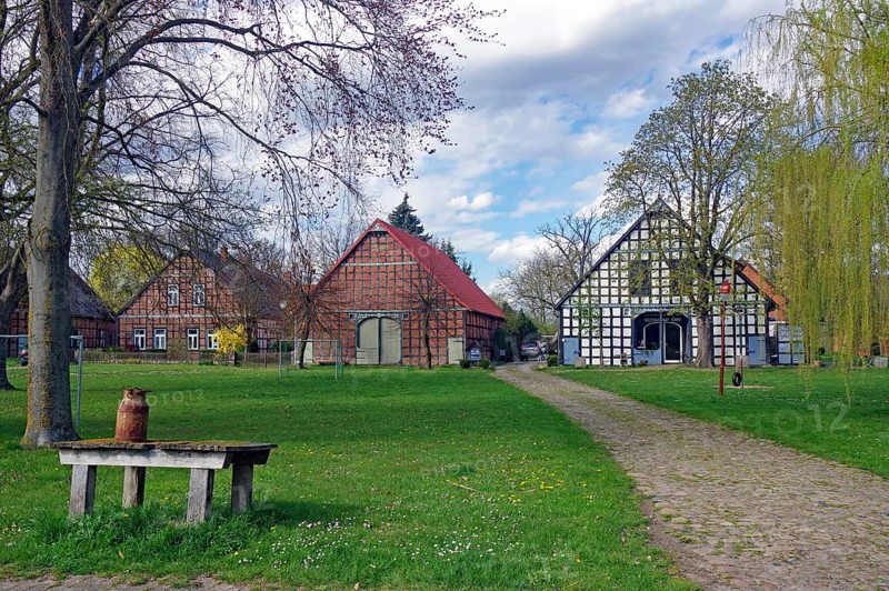 Half-timbered houses in a green landscape with trees and a pasture in the foreground, Satemin, Rundlingsdorf, Wendland, Lower Saxony, Germany, Europe
