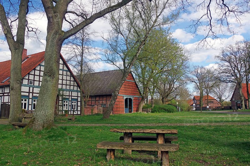 Picnic table under trees in front of half-timbered houses in a rural setting in spring, Satemin, Rundlingsdorf, Wendland, Lower Saxony, Germany, Europe