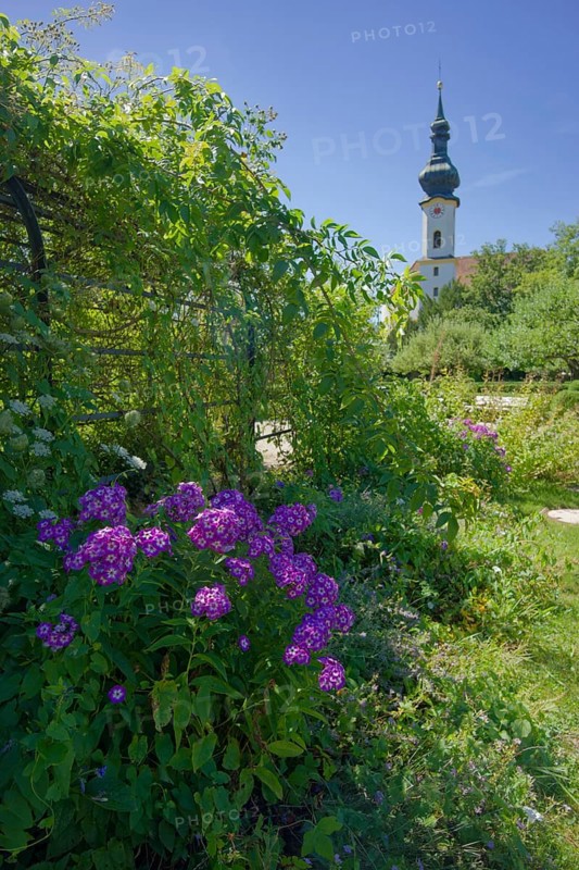 Castle garden in Starnberg, phlox, rococo church, St. Joseph, St. Joseph, church, flower, flower bed, Lake Starnberg, Bavaria, Upper Bavaria, Free State, summer, Germany, Europe