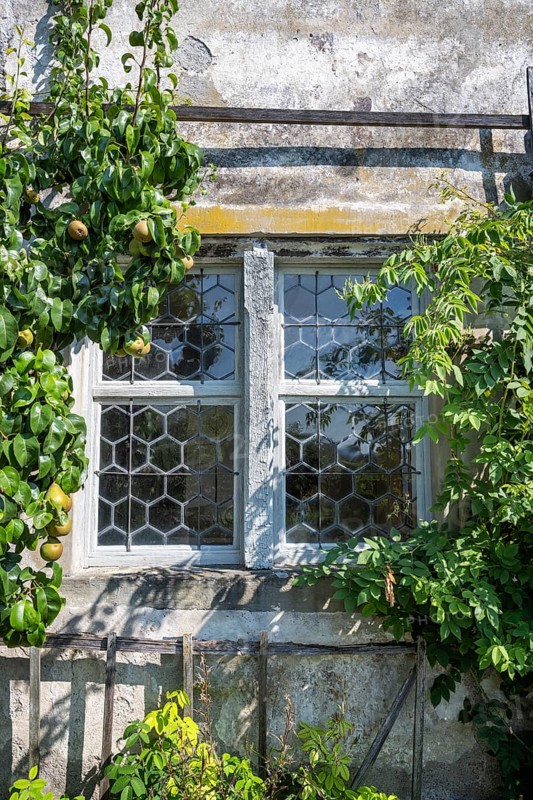 Detailed view, window of a cell house, Ittingen Charterhouse, Warth-Weiningen near Frauenfeld, Canton Thurgau, Switzerland, Europe