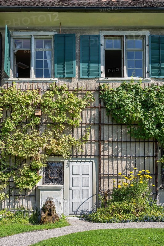Detail of an old residential building with vines on the façade, Ittingen Charterhouse, Warth-Weiningen near Frauenfeld, Canton Thurgau, Switzerland, Europe