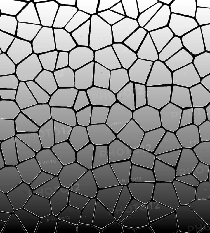 Abstract black and white geometric pattern with a gradient effect and interconnected shapes resembling a mosaic