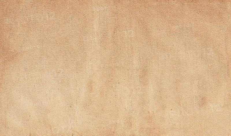 A close-up of a beige rough canvas texture