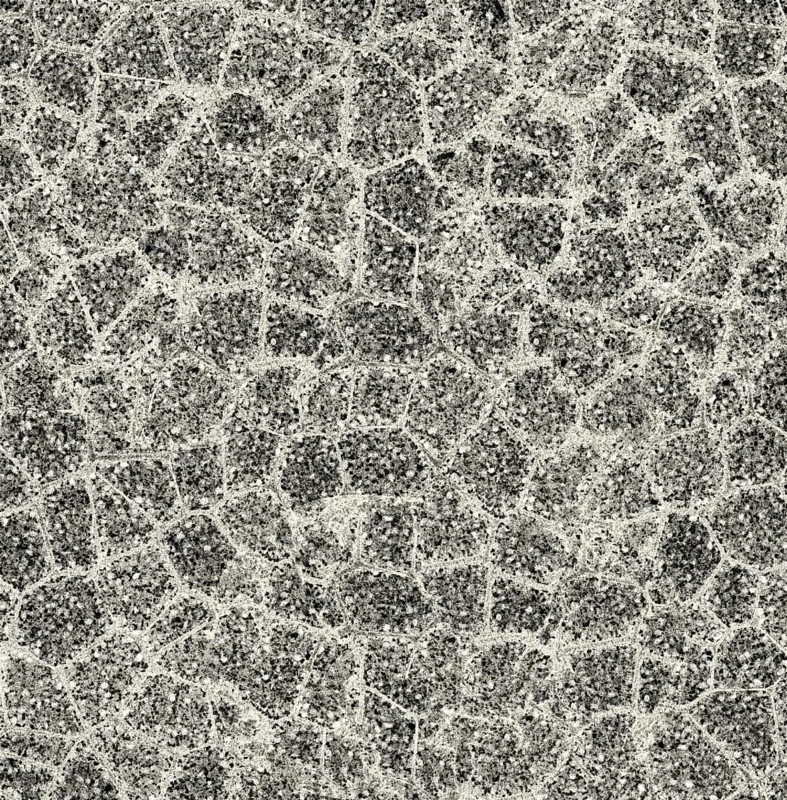 Abstract black and white cracked texture resembling a mosaic of irregular shapes