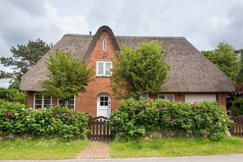 Frisian house with thatched roof, hedge with dog roses, Amrum, North Sea island, North Frisia, Schleswig-Holstein, Germany, Europe
