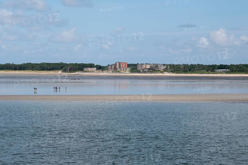 View of the coast of Wyk auf Föhr, mudflat hiker, North Sea coast, Föhr, North Sea island, North Frisia, Schleswig-Holstein, Germany, Europe