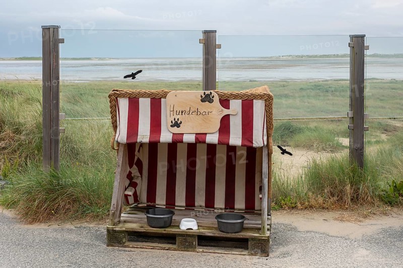 Dog bar on the beach promenade in Wittdün, Amrum, North Sea island, North Frisia, Schleswig-Holstein, Germany, Europe
