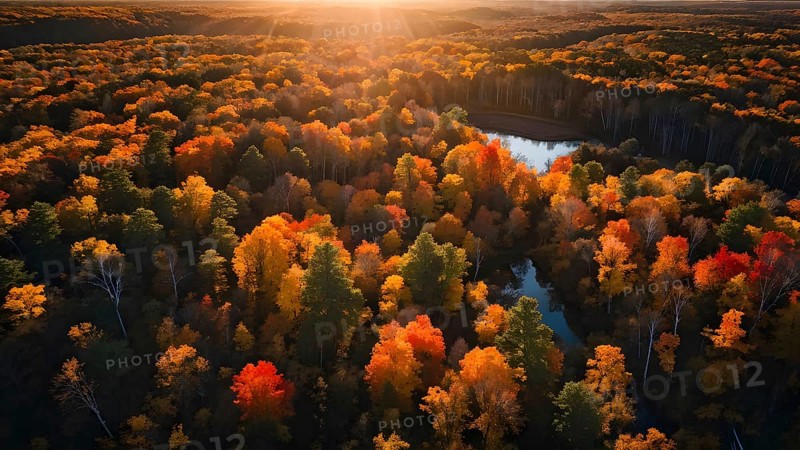 Aerial perspective of an autumn forest with leaves in varying shades of amber red and yellow, AI generated