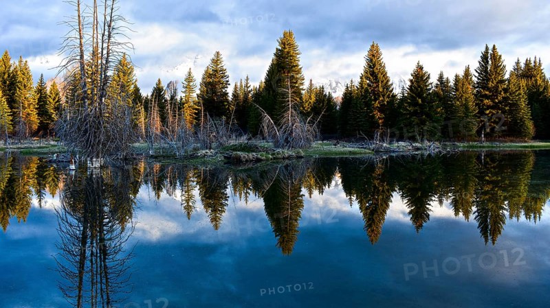 Grand Teton National Park. Wyoming, United States, North America