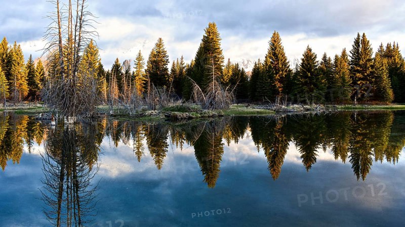 Grand Teton National Park. Wyoming, United States, North America