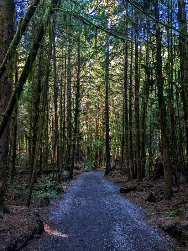 Juan de Fuca Trail. Vancouver Island British Columbia, Canada, North America