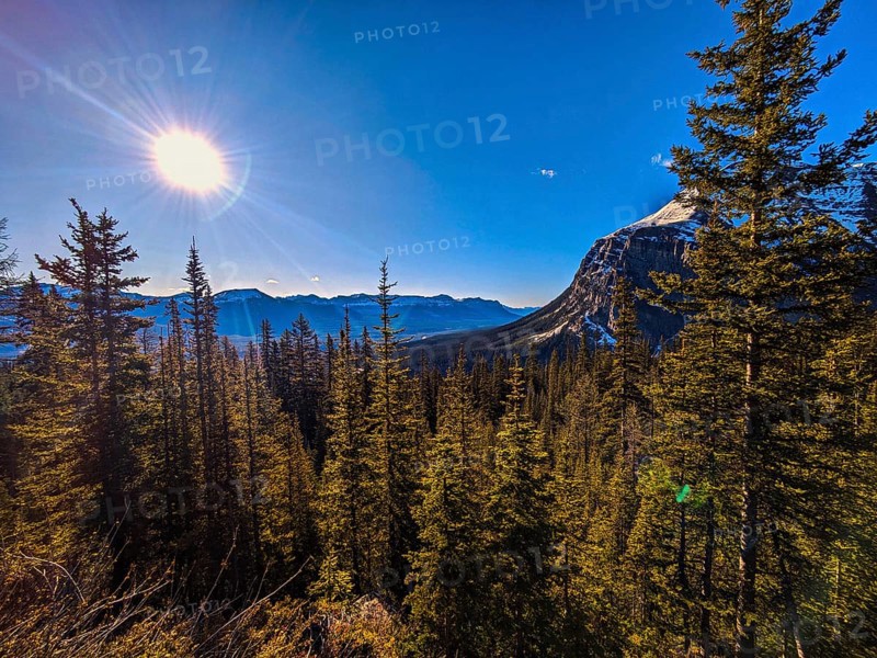 Valley in Lake Louise Alberta, Canada, North America