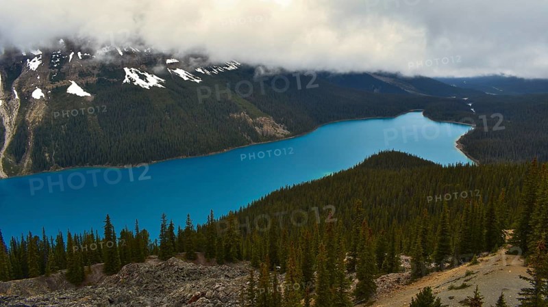 Peyto Lake Alberta, Canada, North America