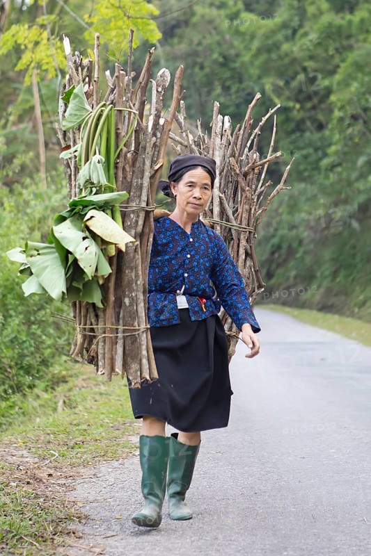 Vietnamese woman carrying firewood on a street, Ha Giang province, Vietnam, Asia