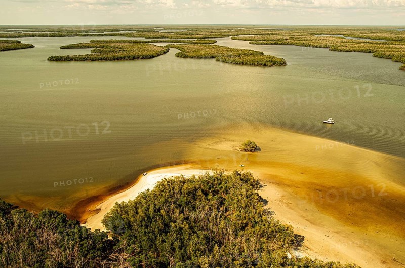 Boat in the Atlantic Ocean, Everglades, mangrove forests, Florida, USA, North America
