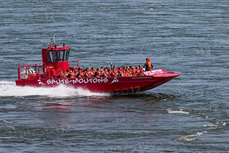 Jet boating, jet boat ride on the Saint Lawrence River, Summer, Montreal, Province of Quebec, Canada, North America