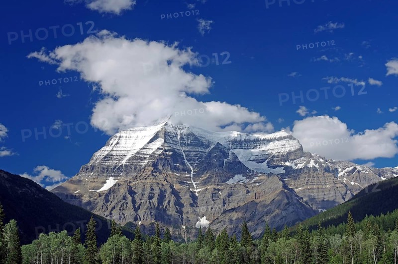 Snow-capped mountains under a clear blue sky with clouds and forest in the foreground, Mount Robson Provincial Park, British Columbia, Canada, North America