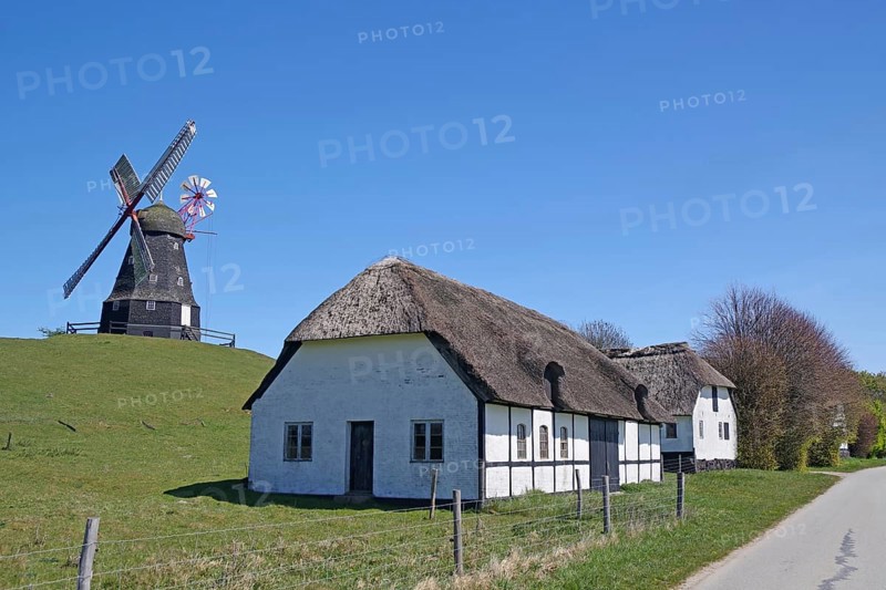A house with a thatched roof and a windmill on a rural road under a blue sky, Manor Route, Skovsgaard, Langeland, Denmark, Europe