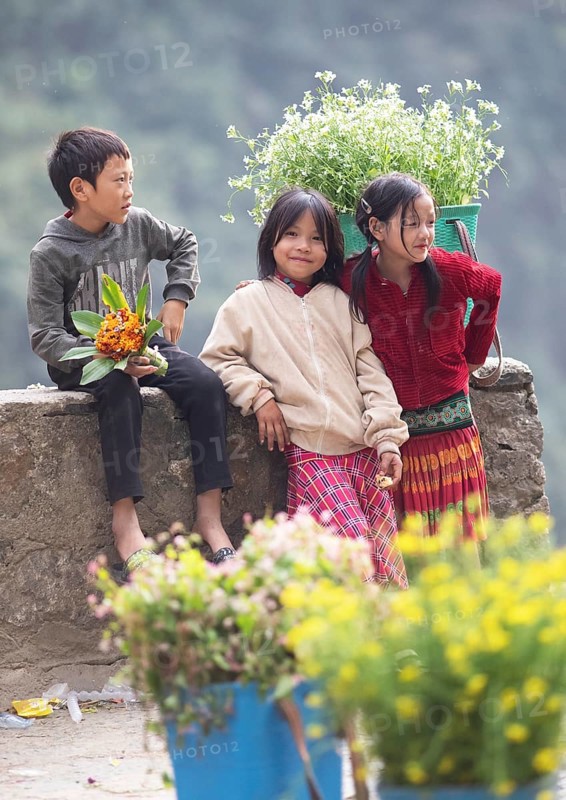 Vietnamese children selling flowers in the northern mountains, Ha Giang province, Vietnam, Asia