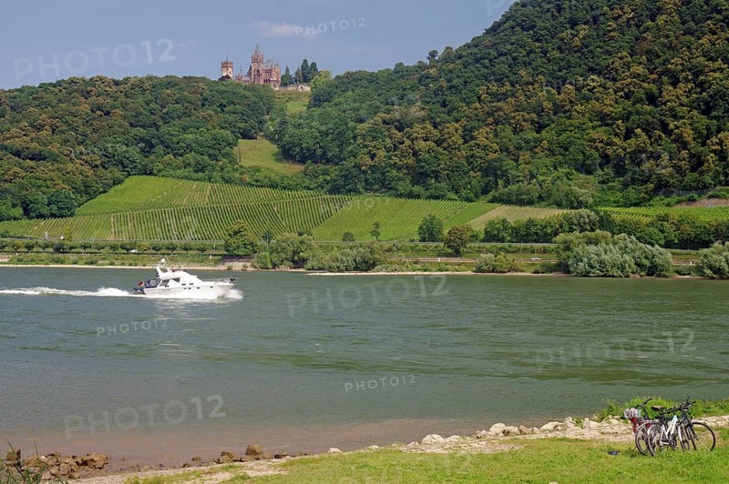 A motorboat sailing on a river surrounded by vineyards and a castle on the hill, cycle tourism, Rhine, Andernach, Rhineland-Palatinate, Germany, Europe