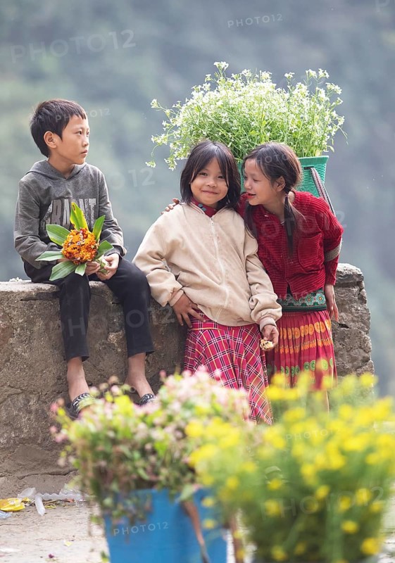 Vietnamese children selling flowers in the northern mountains, Ha Giang province, Vietnam, Asia