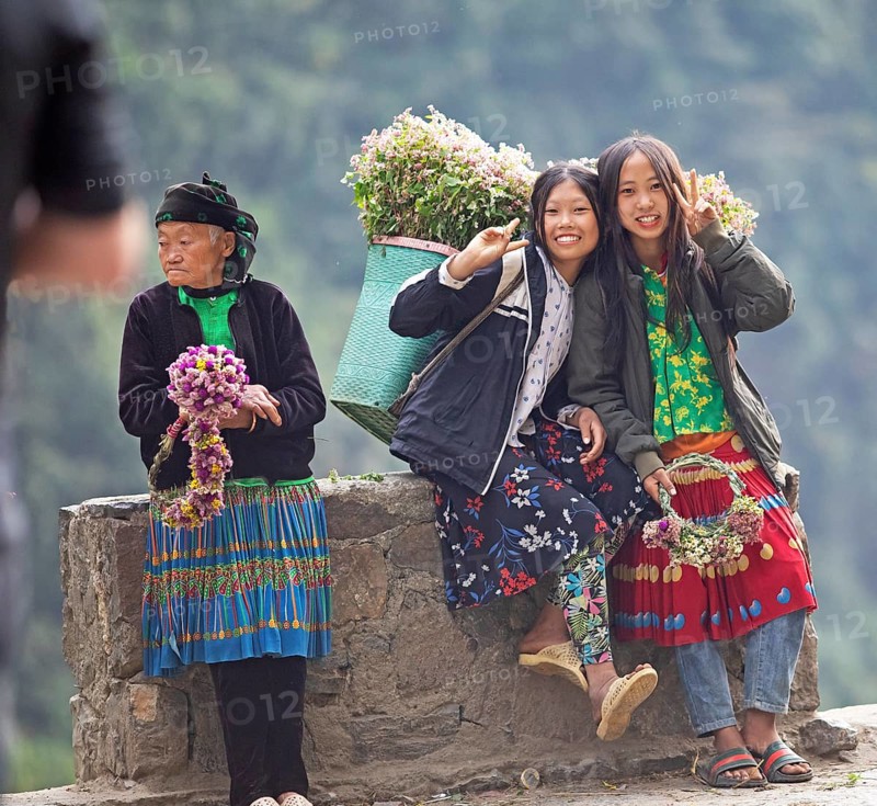 Vietnamese woman selling flowers in the northern mountains, Ha Giang province, Vietnam, Asia