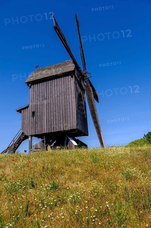 Windmill, Bockwindmühle Beelitz, Brandenburg, Germany, Europe
