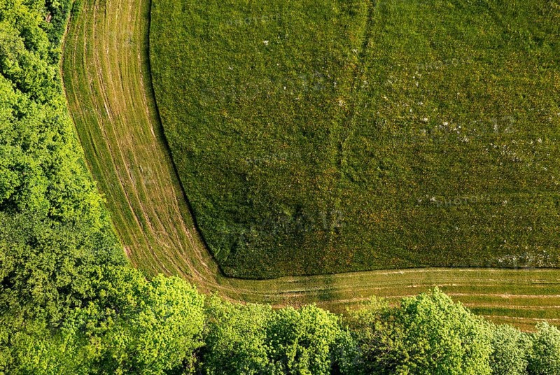 Drone image, structure of a mown meadow with group of trees, from above, structure, agriculture, agricultural landscape, Hausruckviertel, Upper Austria, Austria, Europe