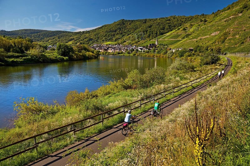 Cyclists on the Moselle cycle path with a view of the village of Bremm, Rhineland-Palatinate, Germany, Europe