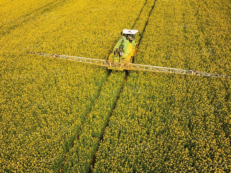 Crop protection products are applied to a rapeseed field on the outskirts of Dresden