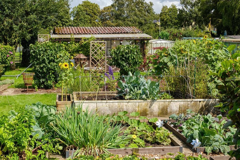 Vegetable beds in front of garden arbour in allotment garden, allotment garden, Dortmund, North Rhine-Westphalia, Germany, Europe