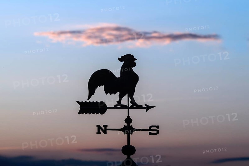 Weathercock above a compass rose on a roof at sunset, Kaiserstuhl region, Baden-Württemberg, Germany, Europe