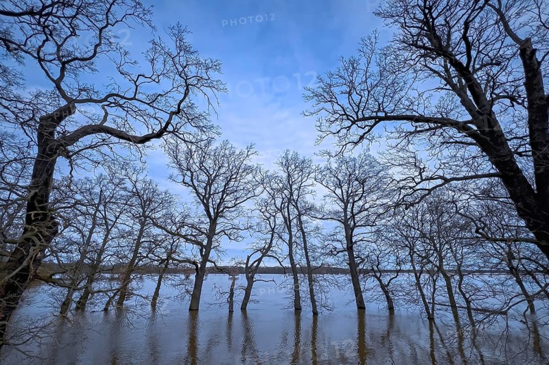 Flood, flood protection, flooding, dike protection, dike on the Elbe, flooding, sunrise, biotope, Elbe dike, habitat, Elbe floodplains, floodplain landscape, river course, delta, Middle Elbe river landscape, flowing water, sunrise, Middle Elbe biosphere reserve, Saxony-Anhalt, Germany, Europe
