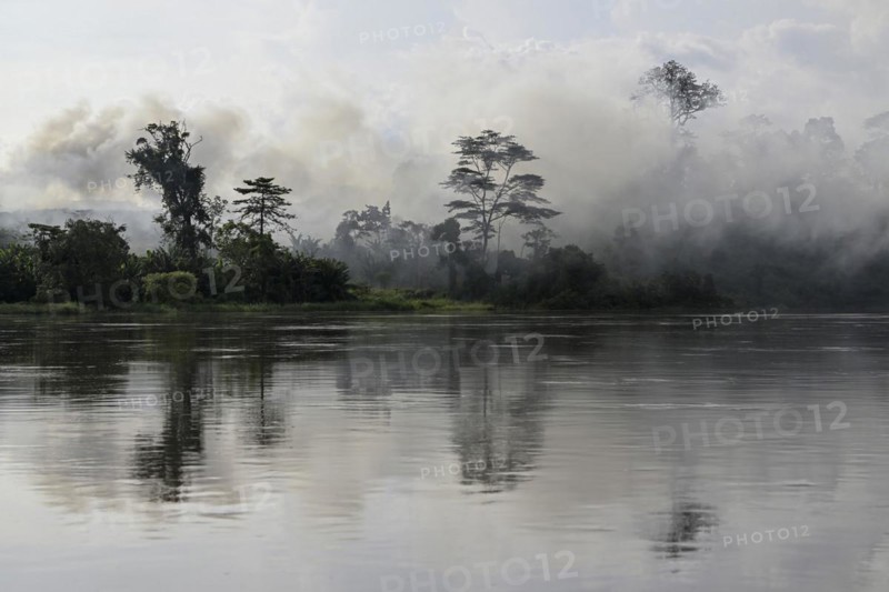 Fog over the rainforest along the Sangha River, Dzanga-Sangha Complex of Protected Areas (DSPAC), Sangha-Mbaéré Prefecture, Central African Republic, Africa