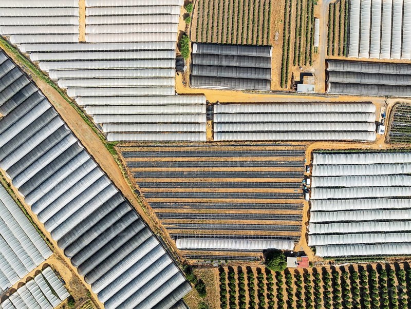 Plastic greenhouses with strawberry cultivations and other cultivated fields near the town of Lepe. Aerial view. Drone shot. Huelva province, Andalusia, Spain, Europe