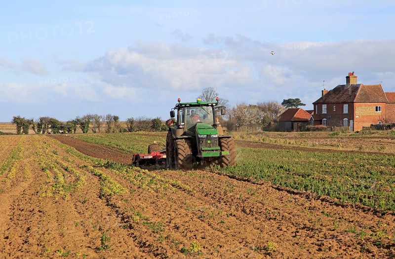 Tractor working in vegetable field in springtime, Bawdsey, Suffolk, England, UK