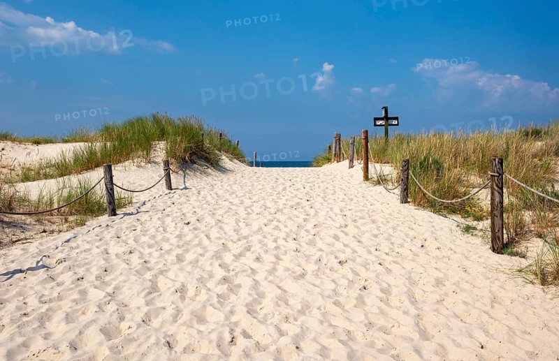 Sandy trail, Slovincian National Park, Slowinski Park Narodowy, Poland, Europe