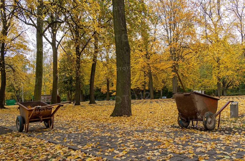 Autumn time, Volkspark Rehberge, war graves, memorial site, Berlin, Germany, Europe