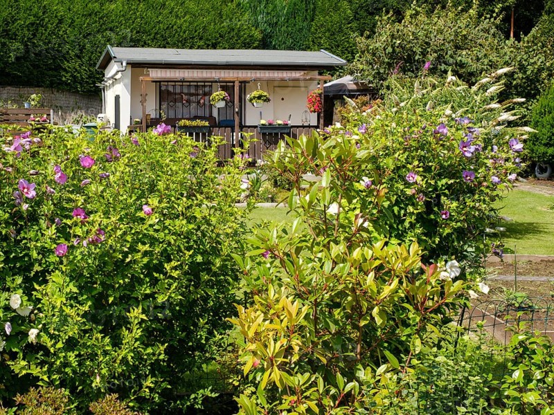 Blooming flowers in front of garden arbour in allotment garden, allotment garden, Dortmund, North Rhine-Westphalia, Germany, Europe