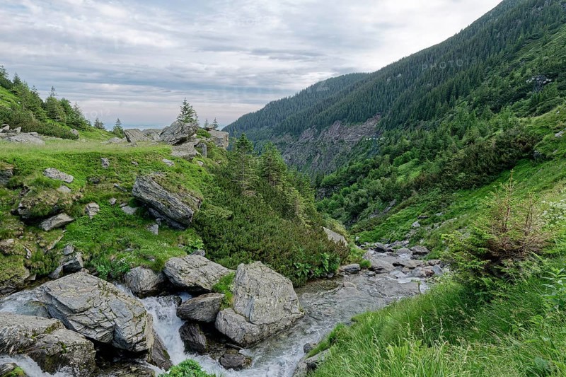 Rocky landscape at the upper course of the Balea stream in the Fagaras Mountains, also Fogaras Mountains, in the mountain group of the Southern Carpathians. Sibiu, Romania, Southeast Europe, Europe