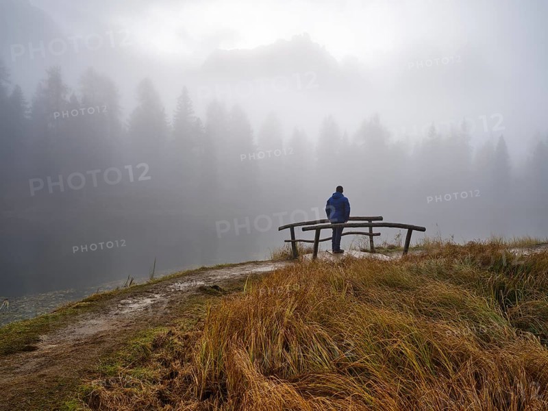 Man looking at Lago d'Antorno, trees in the fog, Three Peaks nature park Park, Dolomites, South Tyrol