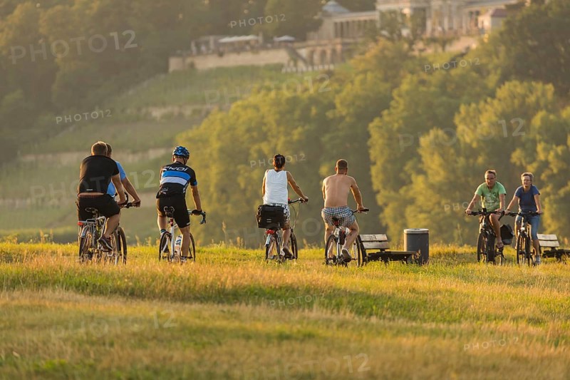 Cyclists on the Elbe cycle path in the evening light in front of Albrechtsberg Castle