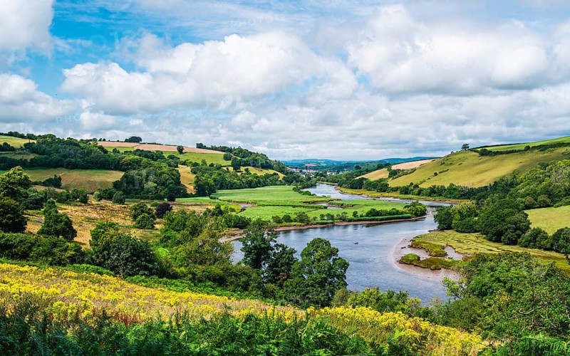 Sharpham Meadows and Marsh over River Dart from a drone, Totnes, Devon, England, United Kingdom, Europe
