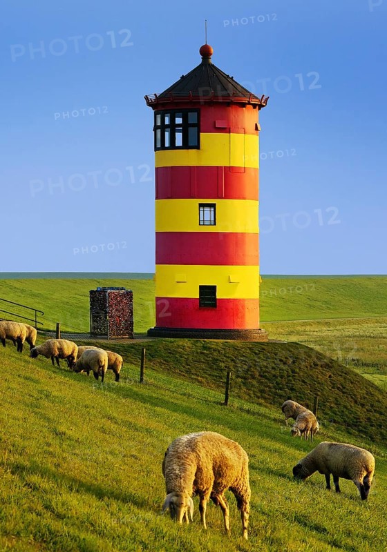 Pilsum lighthouse with sheep on the dike, Pilsum, Krummhörn, East Frisia, Lower Saxony, North Sea, Germany, Europe